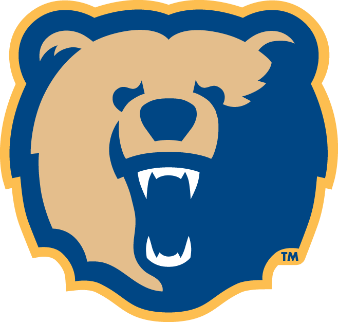 Morgan State Bears 2002-Pres Secondary Logo DIY iron on transfer (heat transfer)